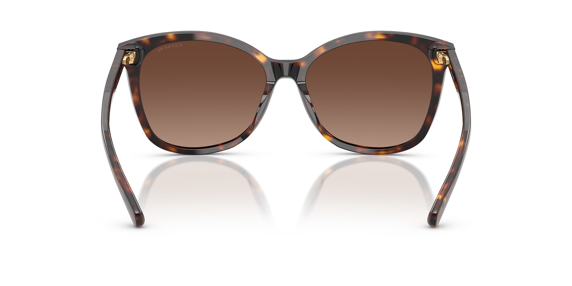 Coach Sunglasses HC8271U L1101