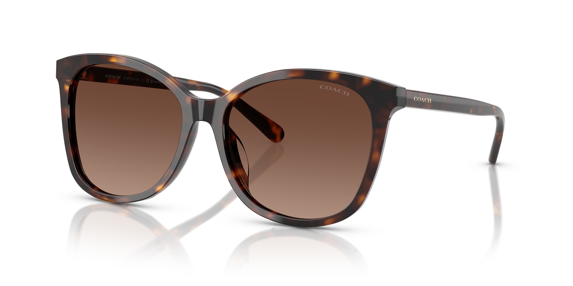 Coach Sunglasses HC8271U L1101