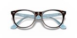 RB2185V WAYFARER II OPTICS