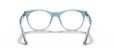 RB2185V WAYFARER II OPTICS