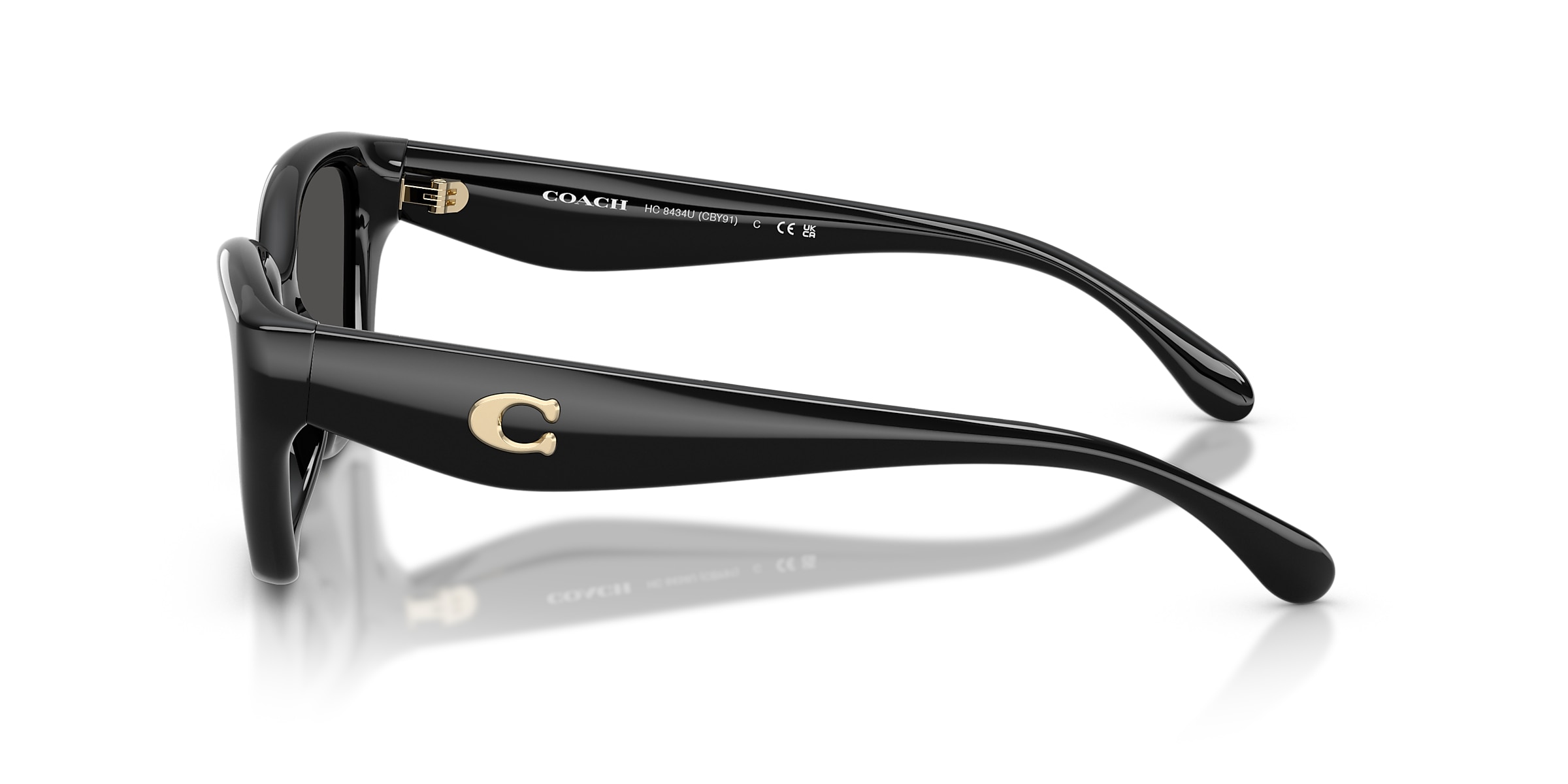Coach Sunglasses HC8434U CBY91