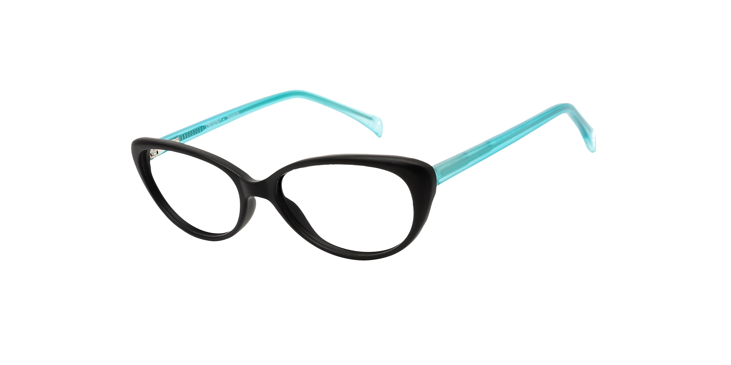 Clearly Glasses SALLUIT