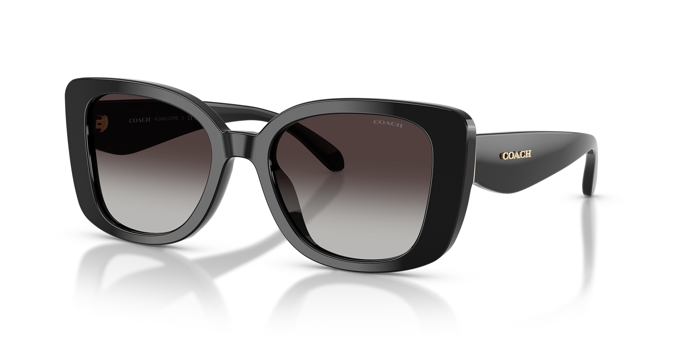 Coach Sunglasses HC8450U CDP48