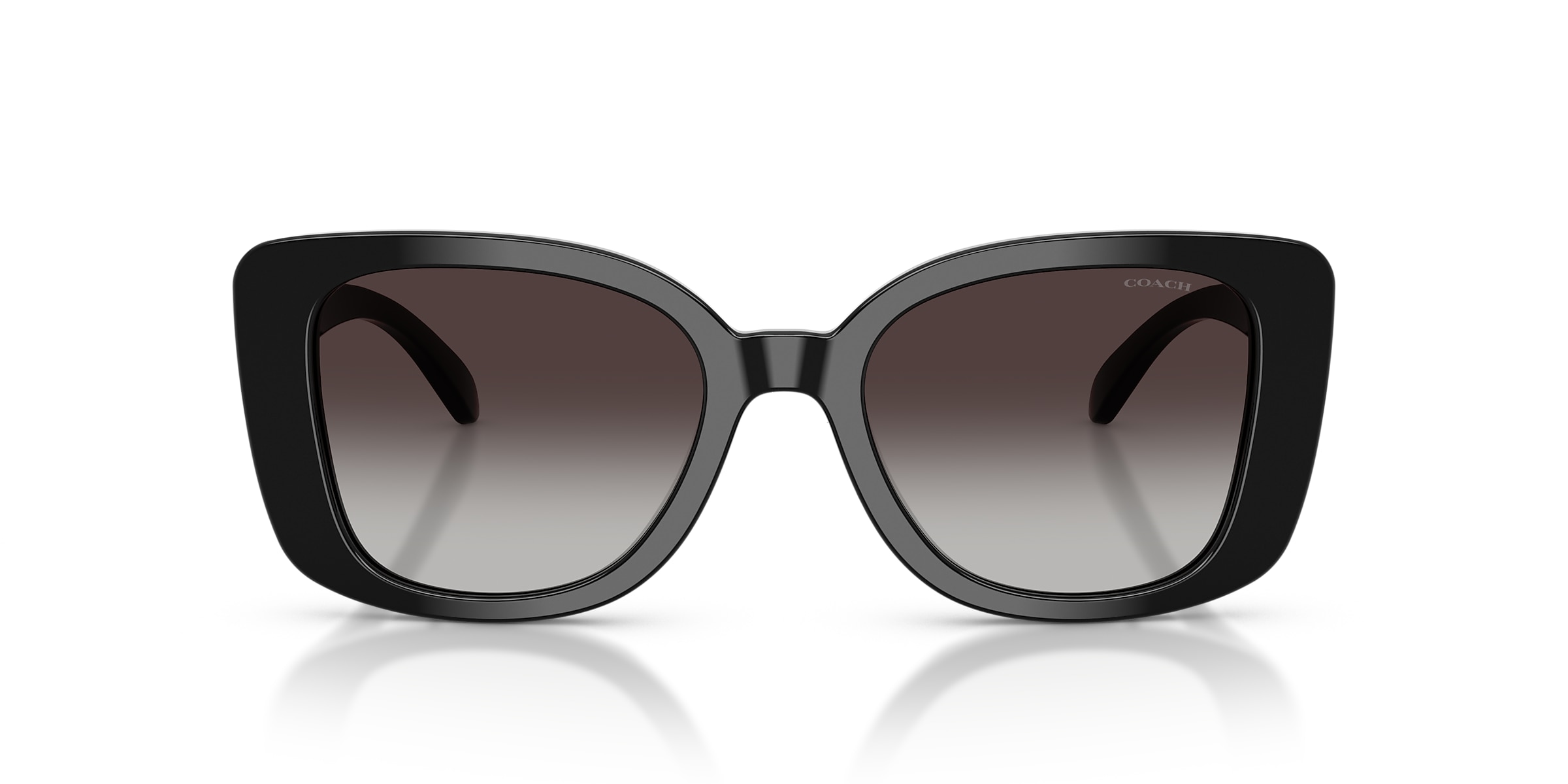 Coach Sunglasses HC8450U CDP48