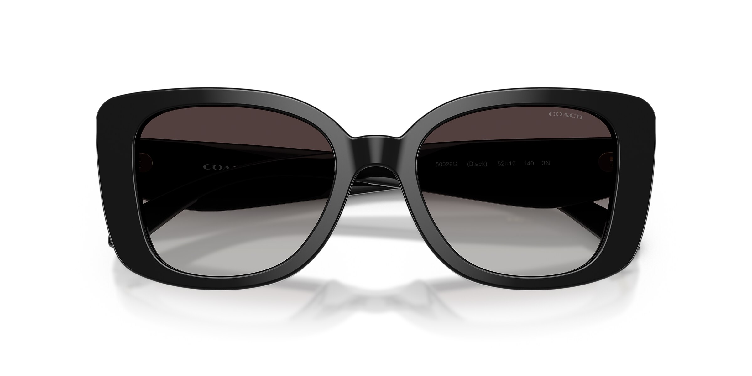 Coach Sunglasses HC8450U CDP48