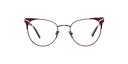 kam dhillon Glasses empire