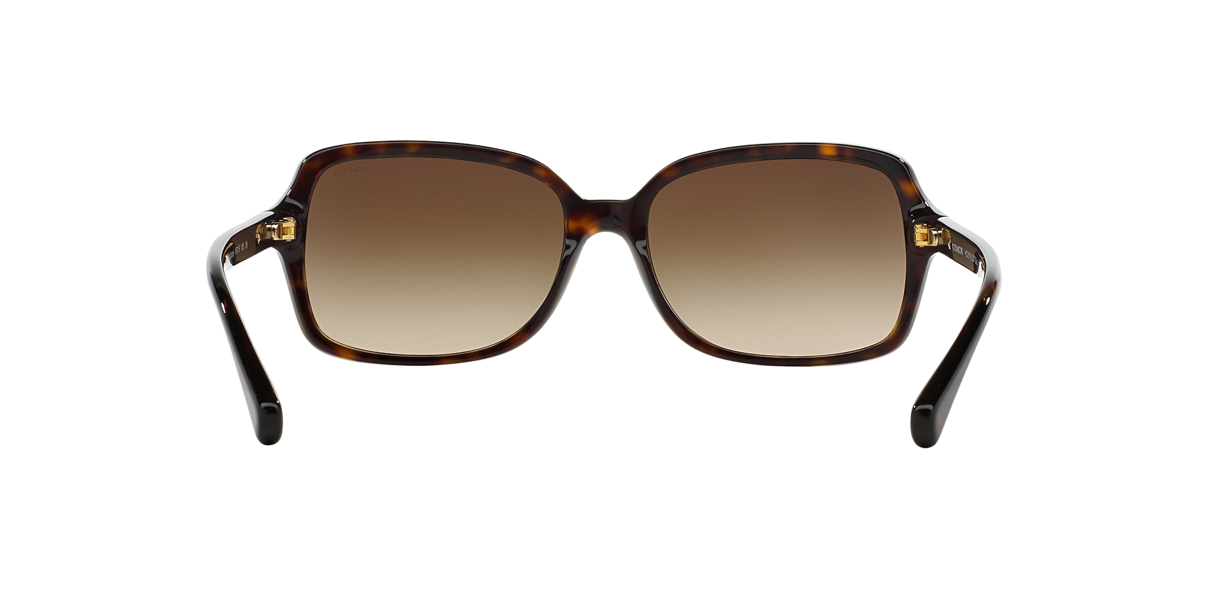 Coach Sunglasses HC8116 L087 BLAIR