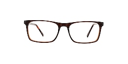 clearly Glasses red deer