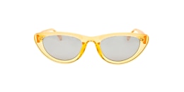 clearly Sunglasses paints