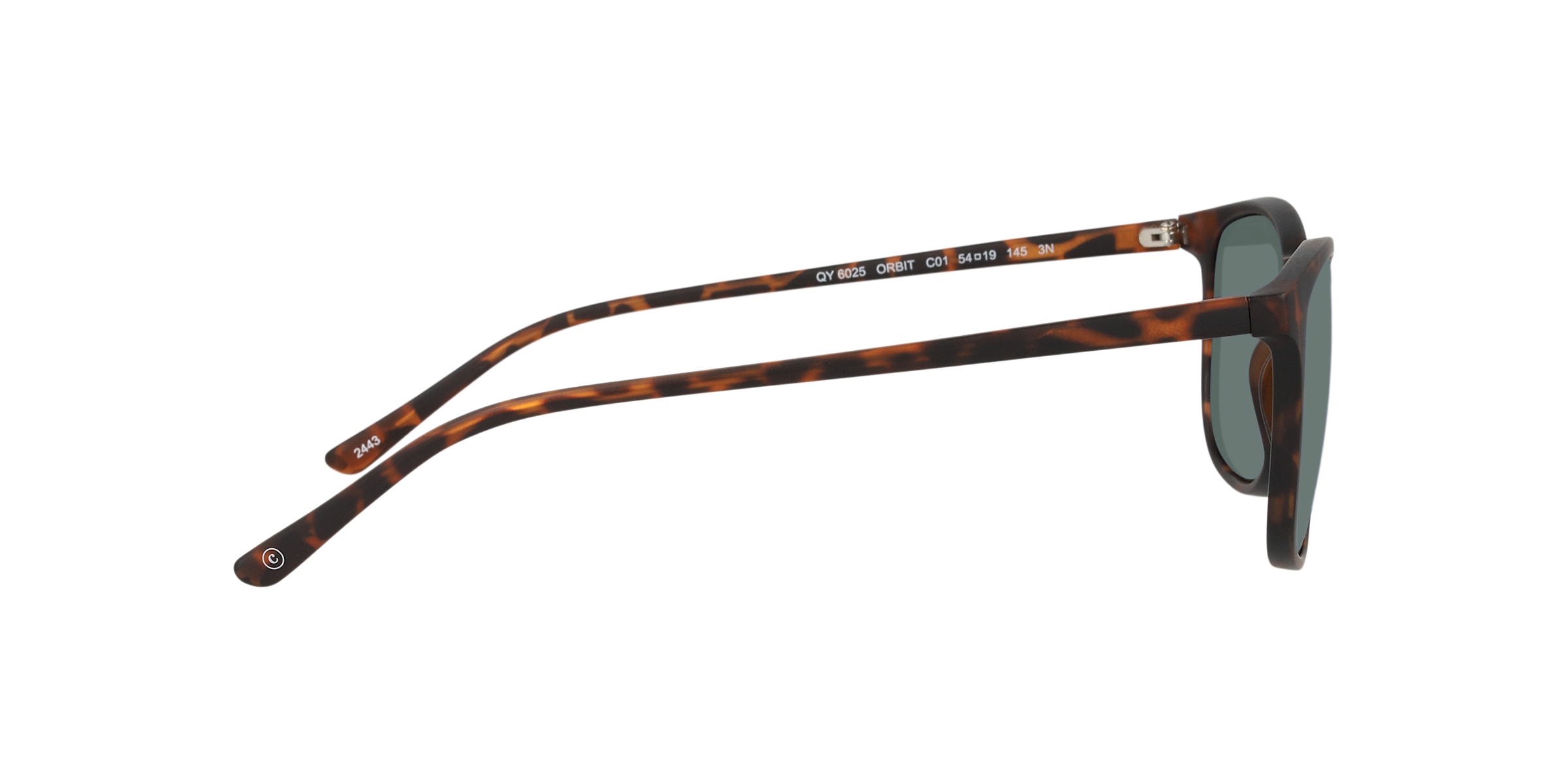 Clearly Sunglasses ORBIT