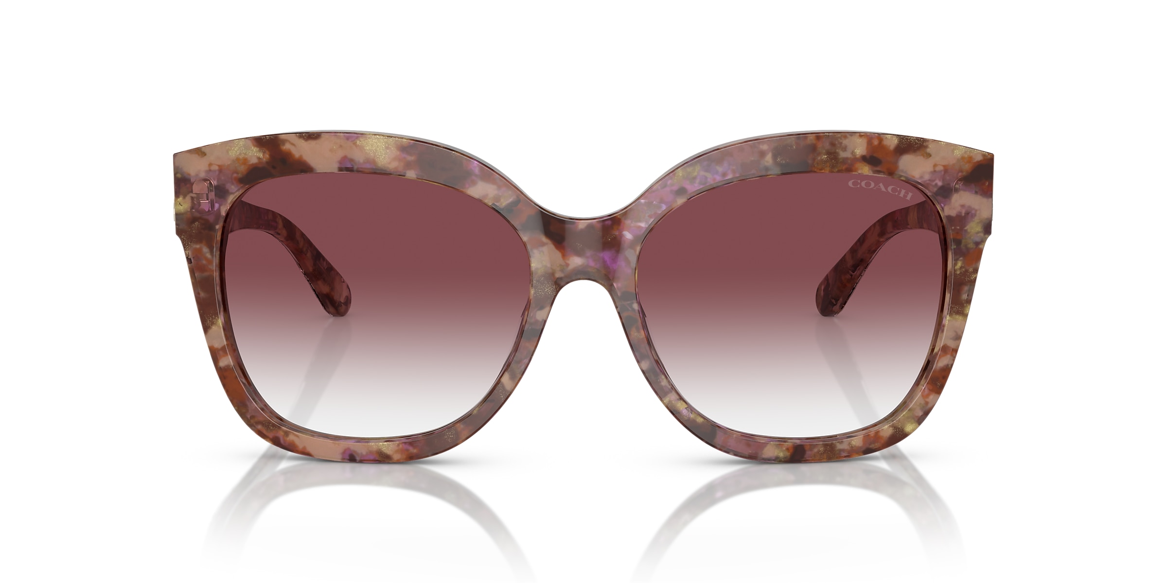 Coach Sunglasses HC8264 L1083