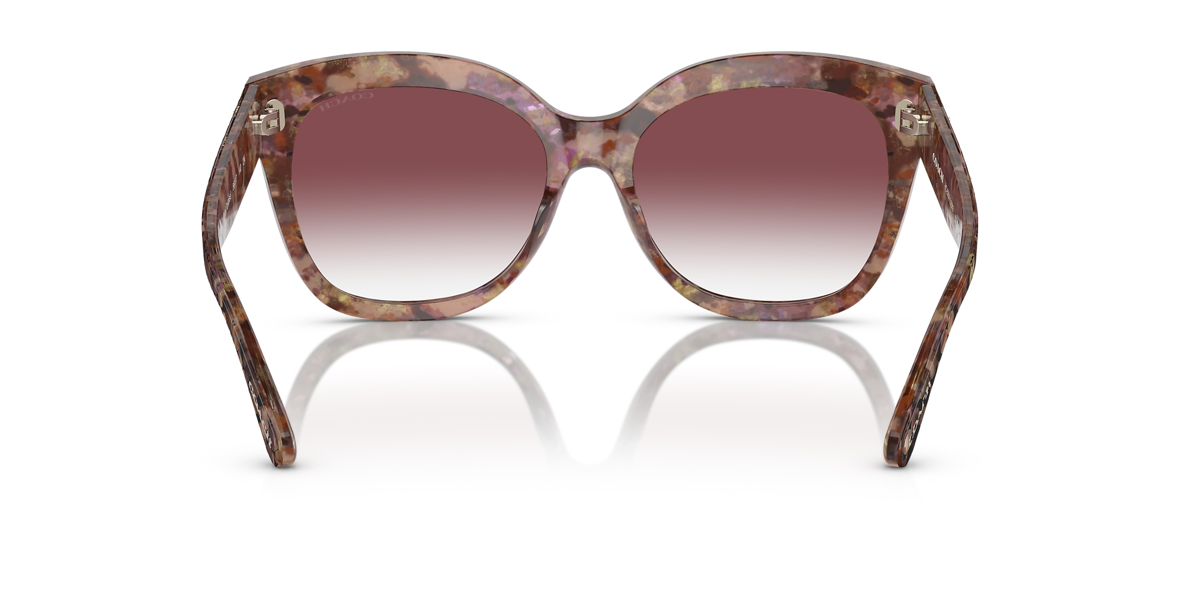 Coach Sunglasses HC8264 L1083