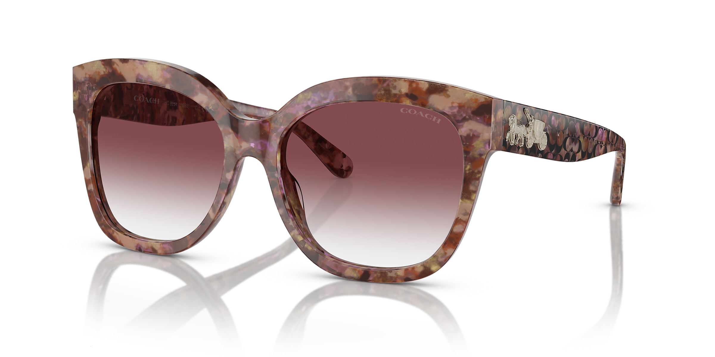 Coach Sunglasses HC8264 L1083