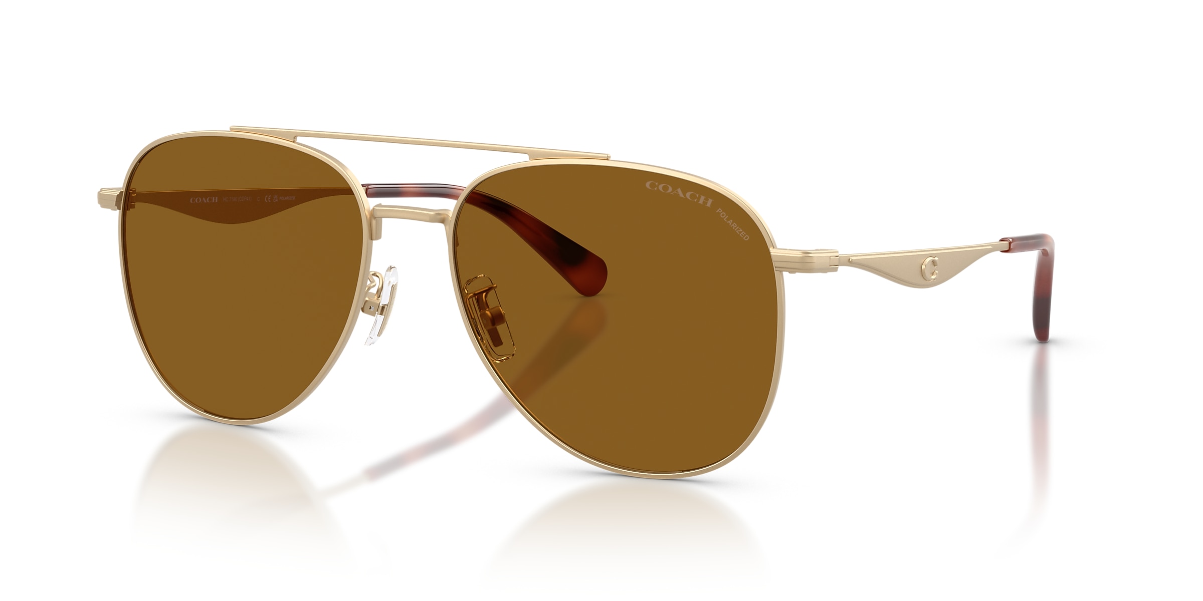 Coach Sunglasses HC7190 CDP40