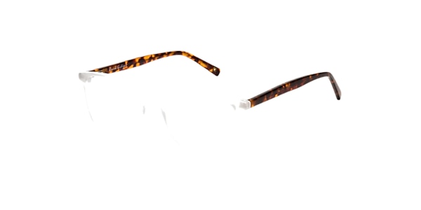Clearly Glasses DOUGLAS