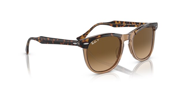 Ray-Ban Sunglasses RB2398 EAGLE EYE