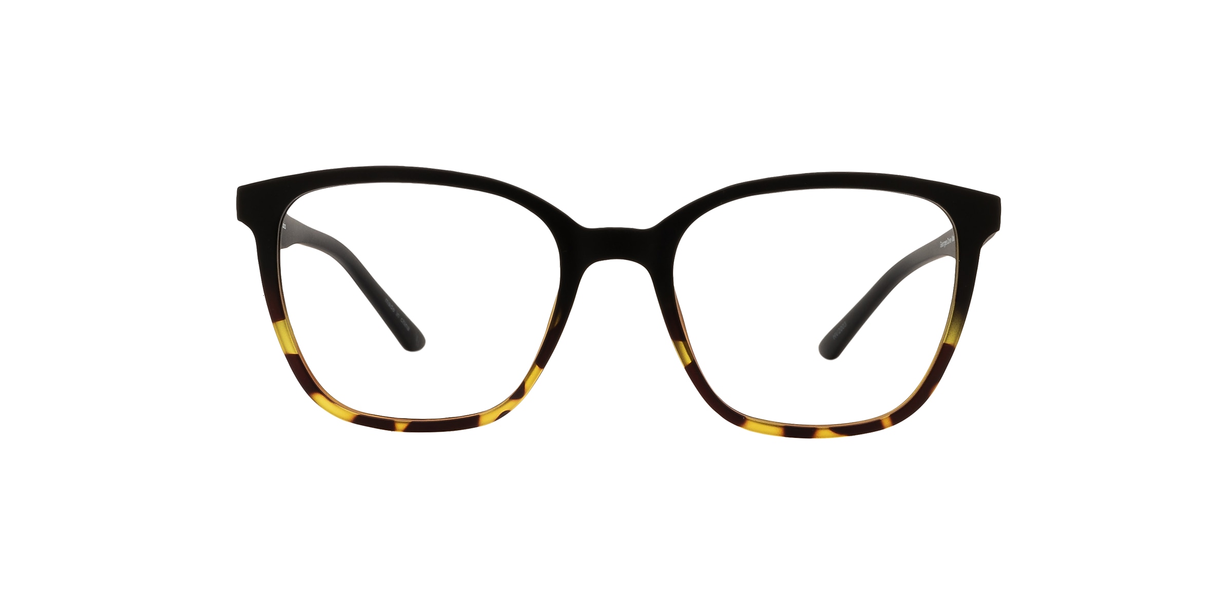 Clearly Glasses GEORGES COVE