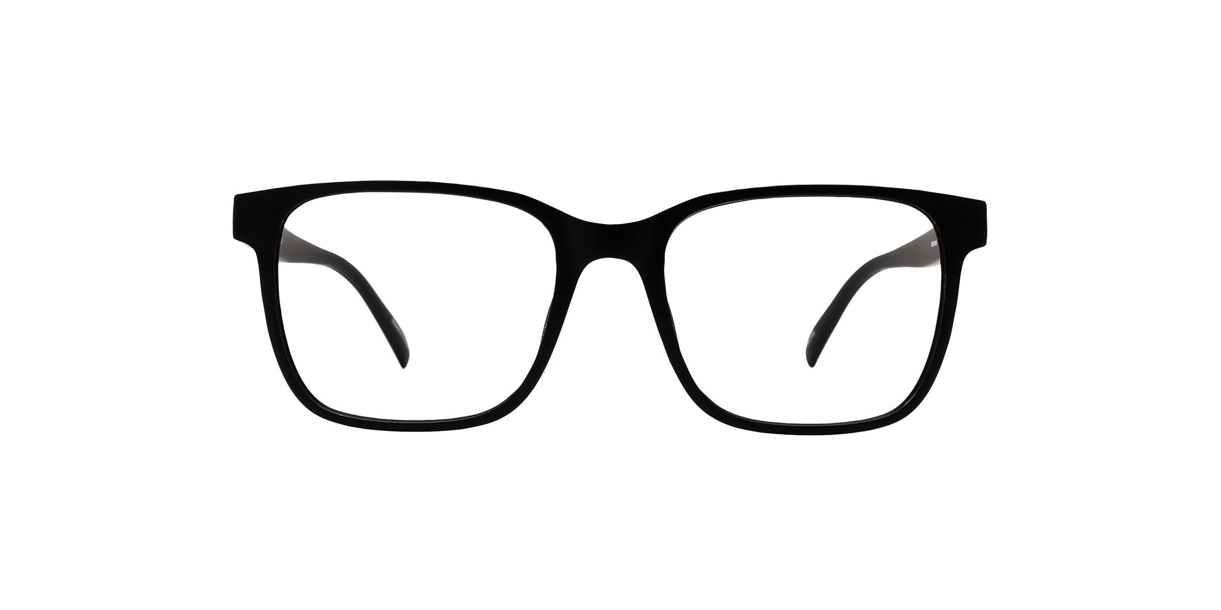 Clearly Glasses ALBATROSS