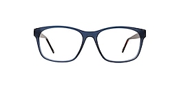 main and central Glasses turtle bay