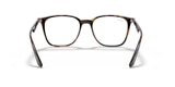 RB7177F RB7177 OPTICS