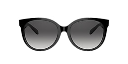 coach Sunglasses hc8321f c6182