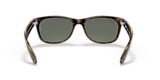 RB2132 NEW WAYFARER CLASSIC