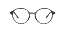 clearly Glasses shore pine