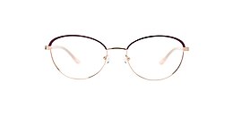 kam dhillon Glasses emily