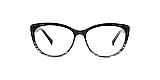 Clearly Glasses BADGER