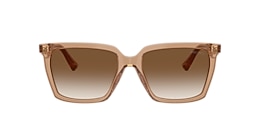 Jimmy Choo Sunglasses JC5051