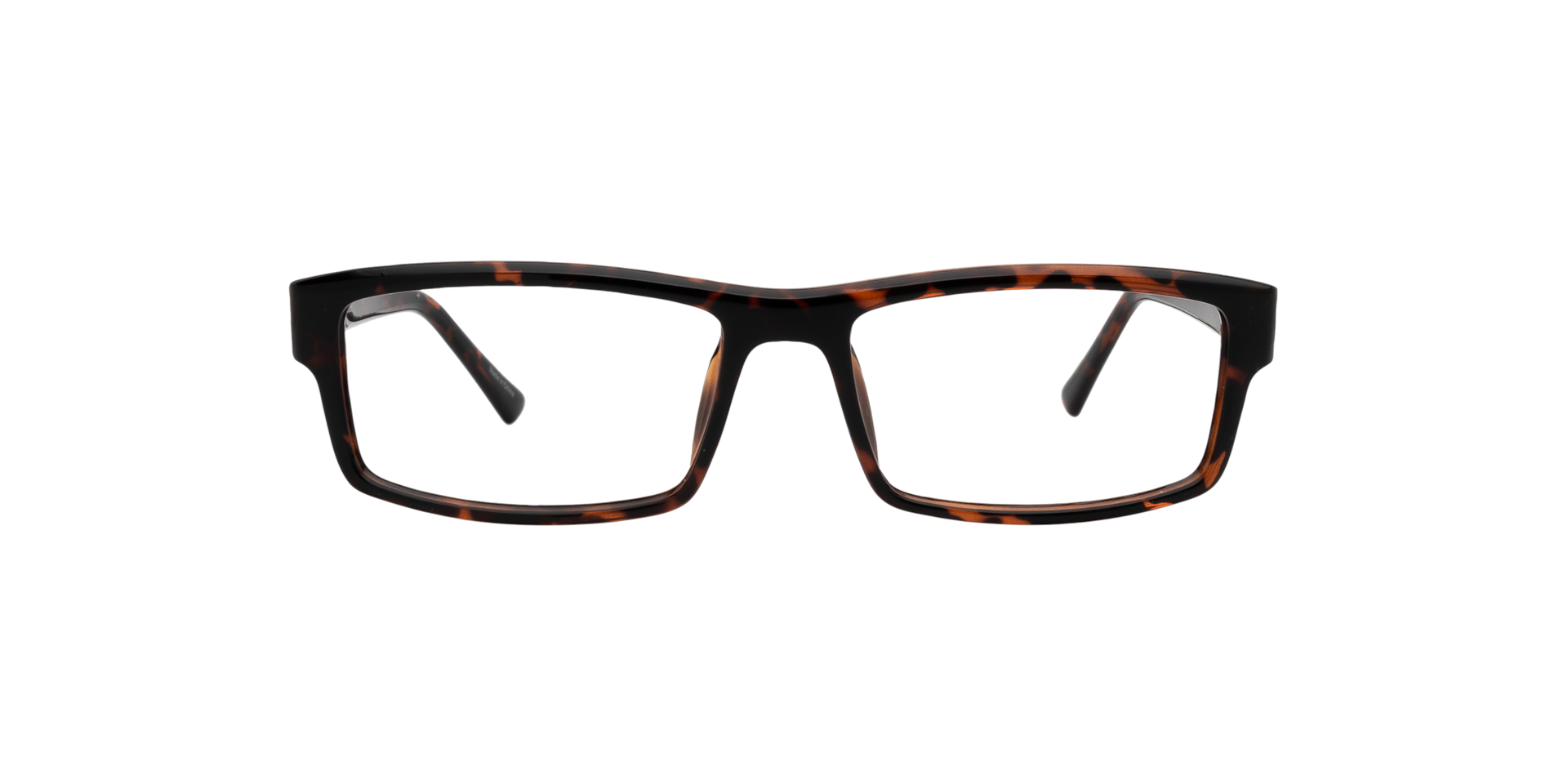 Clearly DRYDEN Tortoise, Size: M