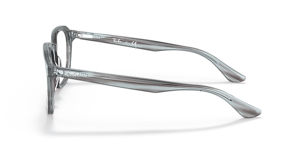 RB5390 OPTICS