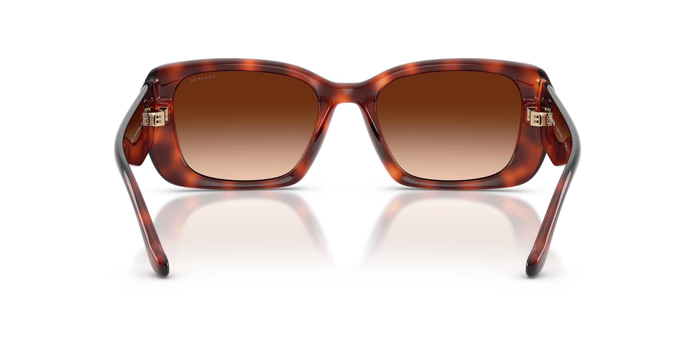 Coach Sunglasses HC8435U CBY82