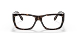 RB5487 NOMAD OPTICS