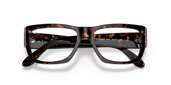 RB5487 NOMAD OPTICS