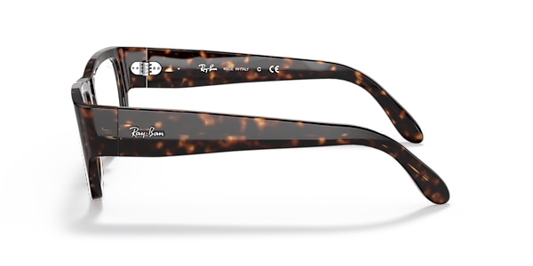 RB5487 NOMAD OPTICS