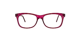 clearly Glasses hamilton