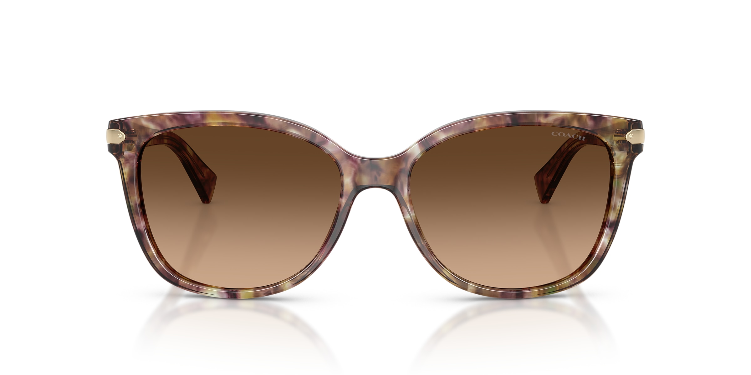 Coach Sunglasses HC8132 L109