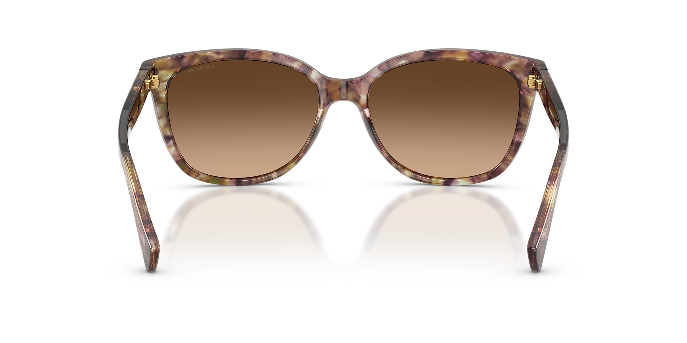 Coach Sunglasses HC8132 L109