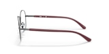 RB6470 OPTICS
