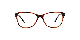 clearly Glasses meductic