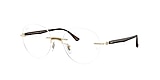 RB8768 OPTICS