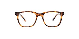 main and central Glasses bray