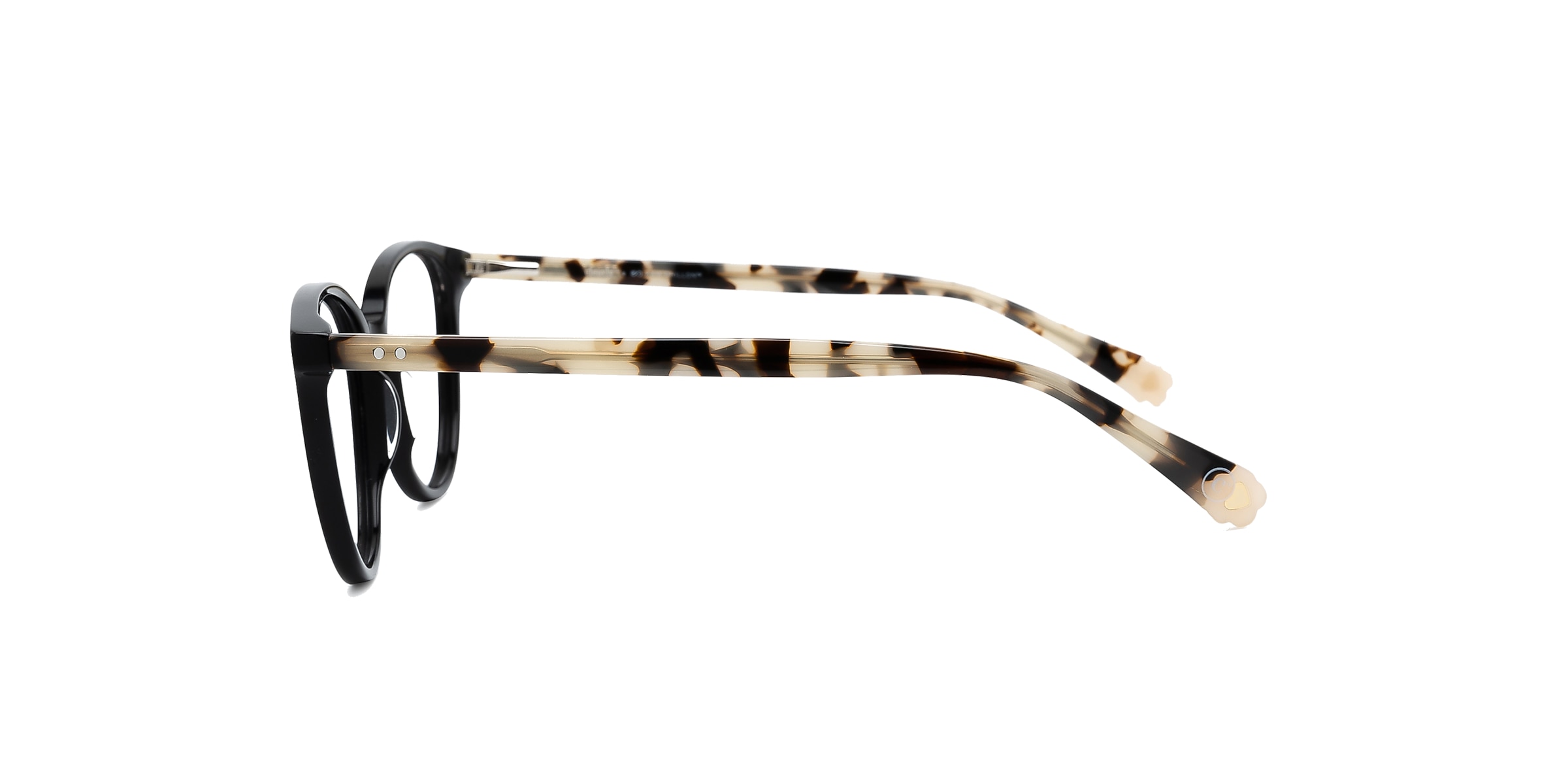 Clearly Glasses SPRUCE