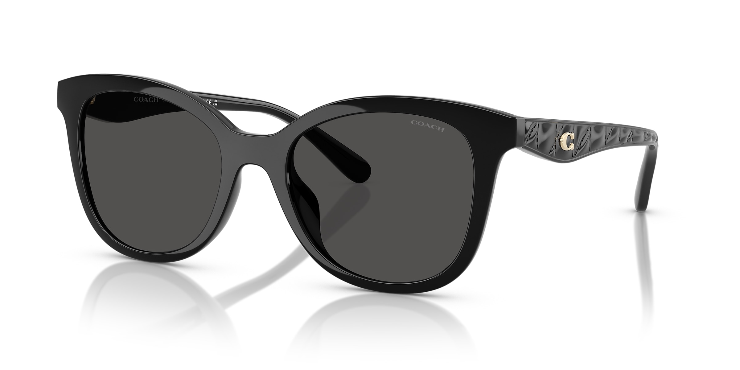 Coach Sunglasses HC8419U CAD25