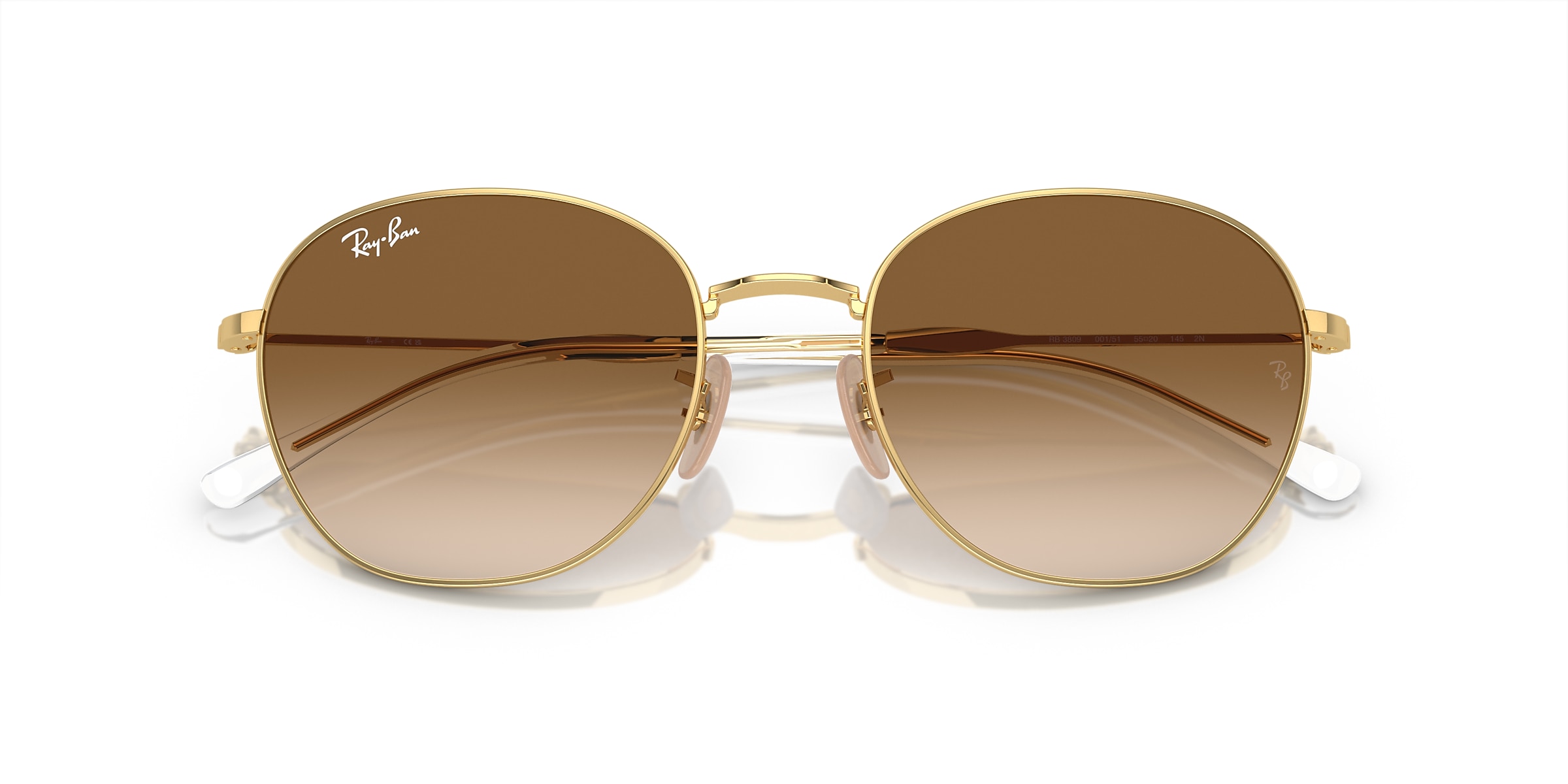 Ray-Ban Sunglasses RB3809