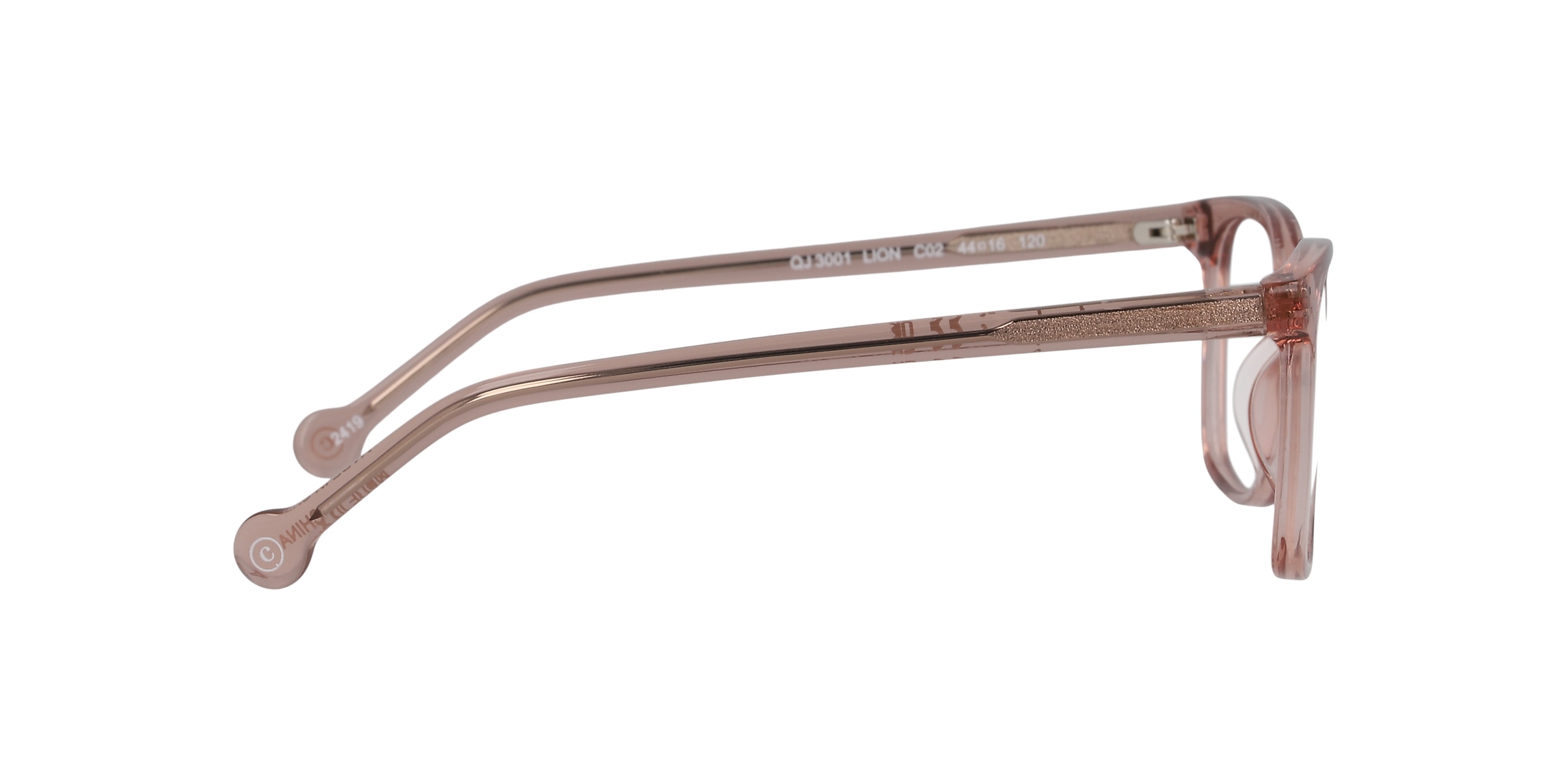 Clearly Glasses LION