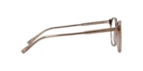 PRUNUS
