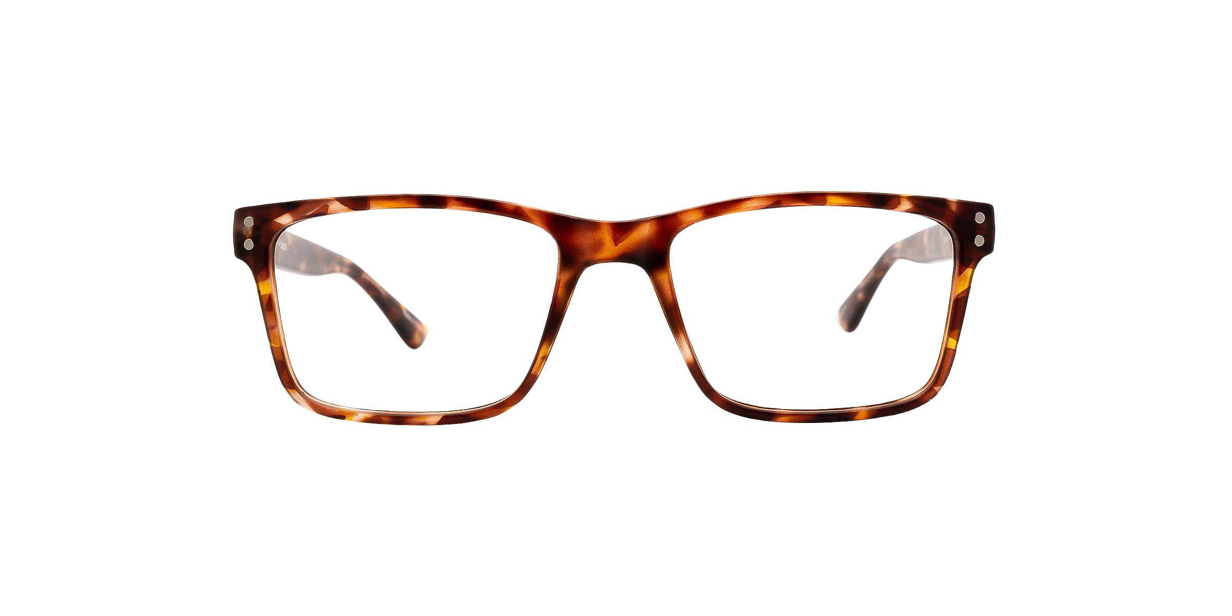 Clearly Glasses TORQUAY