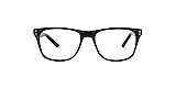 Clearly Glasses ST SHOTTS